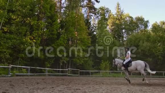 驰骋骑风从职业马女视频的预览图