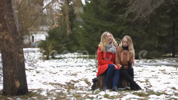 雪地公园里的女孩视频的预览图