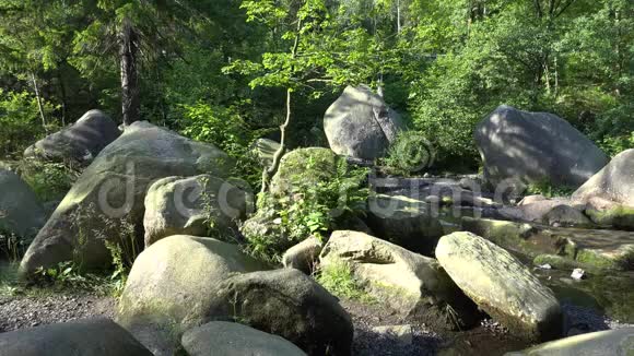 阳光明媚的哈兹山脉夏季景观中巨大的岩石和平静的水流视频的预览图