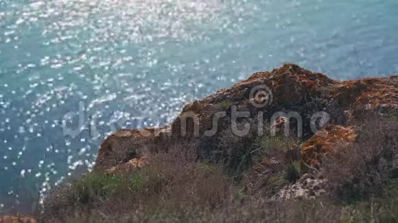 橙色的石头和草地在靠近大海的岩石上美丽的阳光照射在水面上视频的预览图