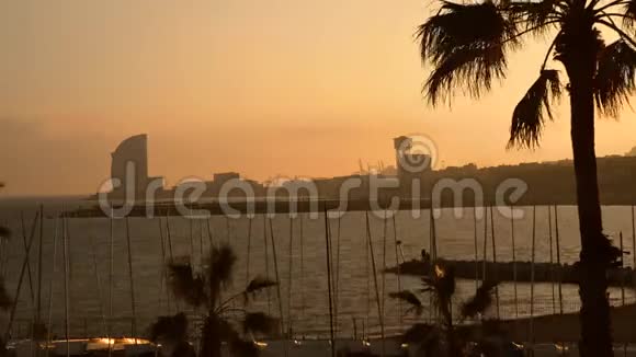 日落时分在西班牙巴塞罗那的巴塞隆纳塔海滩上看到棕榈树和日落视频的预览图