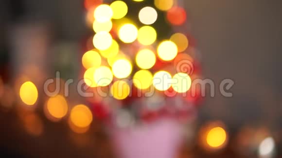 漂亮的小圣诞树的苔藓在木桌上心情愉快加兰灯在背景上抽象模糊视频的预览图