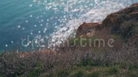 在克里米亚橙色的石头和草地在靠近大海的岩石上阳光照射在水面上视频的预览图