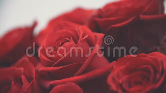 自然美丽的大红色玫瑰花束视频的预览图