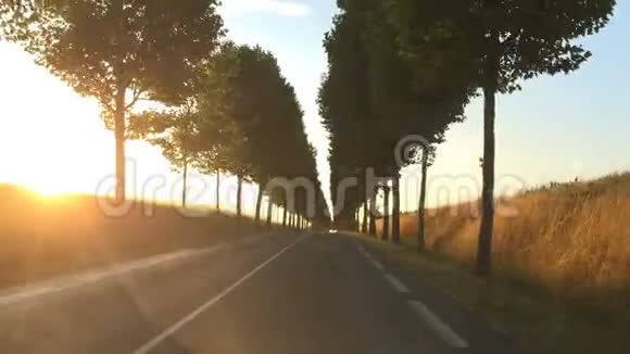 日落全景公路上的麦田视频的预览图