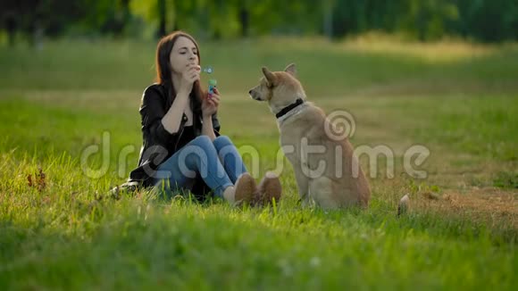 一个女孩在公园里对着她的狗吹肥皂泡视频的预览图