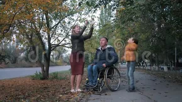 坐在轮椅上的快乐残疾人和他的家人在树的背景上扔美丽的落叶玩得很开心视频的预览图