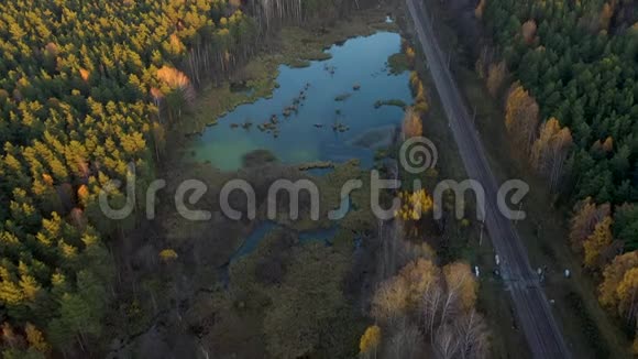秋季在森林中乘火车穿越乡村的空中拍摄视频的预览图