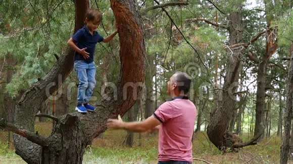 松林里快乐的孩子从树上跳下来爸爸慢慢地抓住他视频的预览图