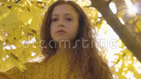 可爱的红发白种人女孩穿着芥末毛衣站在秋天公园的阳光下有长发和棕色的孩子视频的预览图