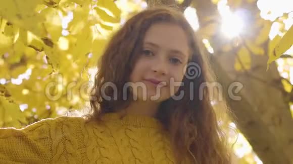 小红发白种人女孩站在秋天的公园里晒太阳有着长发和棕色眼睛的孩子看着视频的预览图