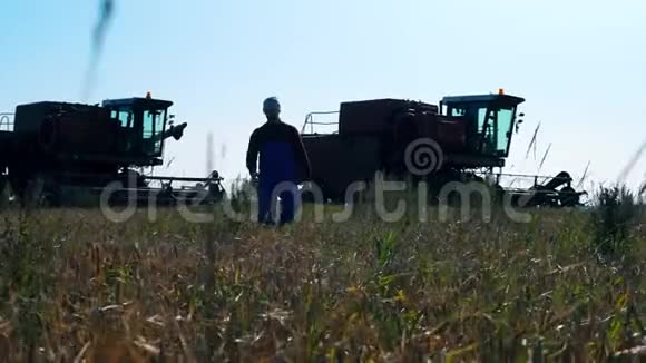 农业技术人员正沿着黑麦地散步视频的预览图