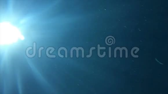 蓝白相间的标志在水下发出光线视频的预览图
