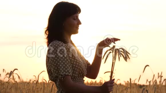 夕阳下女孩的肖像女孩拿着一束成熟小麦穗抚摸着他的手视频的预览图