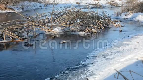 浅快冬天不冻的河流视频的预览图