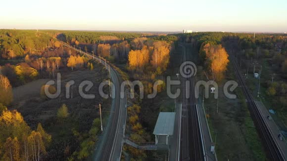 空中跟踪拍摄的日落时分通勤列车在秋林上行驶视频的预览图