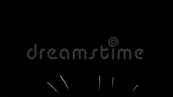 在国庆新年联欢晚会期间4K画面无缝循环真实多彩的焰火节在夜空中展示视频的预览图