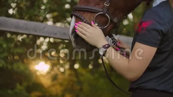 女孩在训练前很享受和马在一起的时光视频的预览图