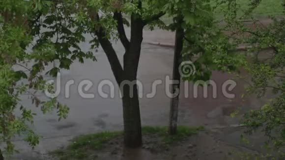 汽车在雨中经过人行道视频的预览图