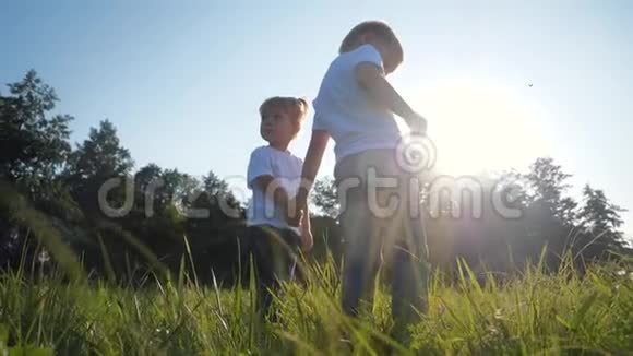 快乐的孩子们牵着手在绿草上享受乡村的新鲜空气美丽的阳光视频的预览图