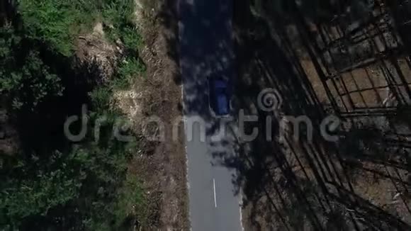 上图为汽车行驶穿过森林无人驾驶观景车继续行驶视频的预览图
