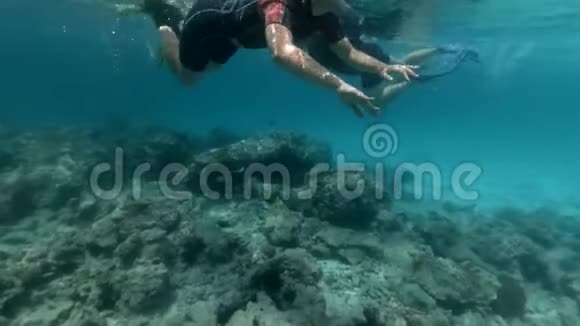 游客和当地潜水员游过珊瑚礁视频的预览图