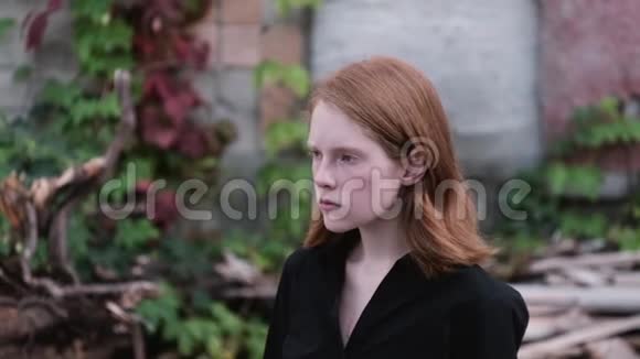 情感肖像红发冒犯少女视频的预览图