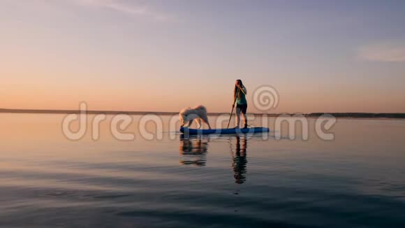一只狗正和它的情妇站在桨板上视频的预览图