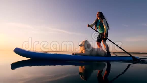 一只狗和它的主人在划桨视频的预览图