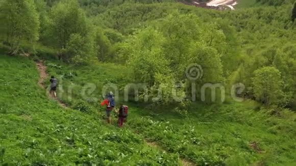 带着孩子徒步旅行的游客背着背包在美丽的绿色斜坡上散步视频的预览图