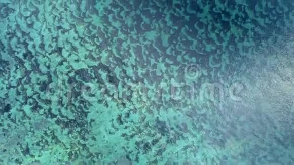 在清澈的海洋下的海底浮雕的空中景色视频的预览图