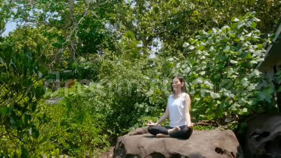 4K一个女人在冥想中练习瑜伽在暑假用绿色的树在岩石上摆姿势以保护环境视频的预览图