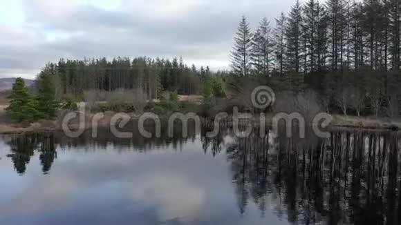 在爱尔兰唐格尔郡的格伦特斯镇附近的森林里飞行视频的预览图