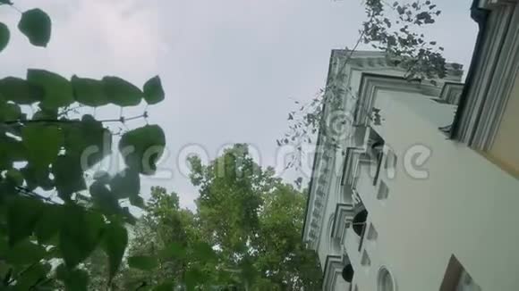 4绿树长在大楼的屋顶附近视频的预览图
