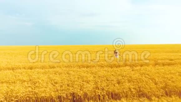 戴着大帽子的女人在夏天的金色麦田里跳跃和奔跑视频的预览图