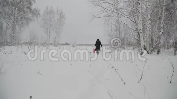 带着篮子的女孩走在雪地上视频的预览图