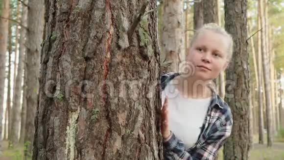 快乐少女少年躲在夏林的树干后面微笑的女孩在松林里玩捉迷藏视频的预览图