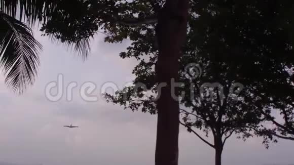 降落大型飞机货物视频的预览图