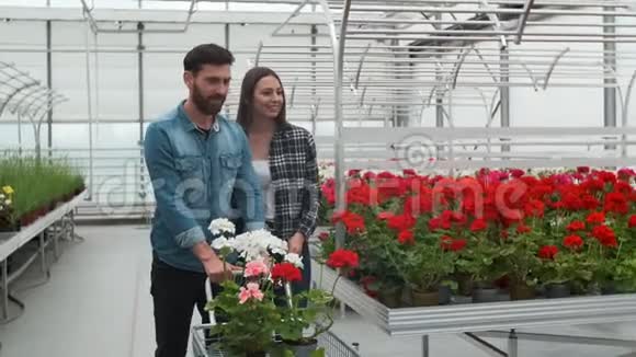 对夫妇在阳光花园商店买花4K在阳光明媚的植物区系上购买装饰植物的跑车视频的预览图