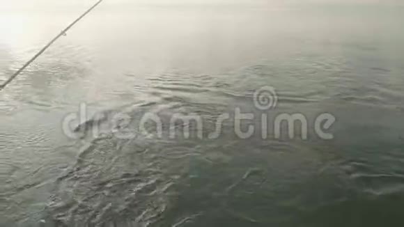 大的萨赞在钩子上鱼被拖到船上视频的预览图