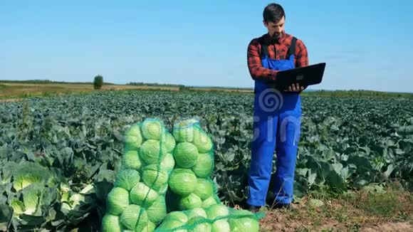 农业工人在检查卷心菜的时候用笔记本电脑工作视频的预览图