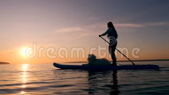 日落湖一位女士和一只狗在做站立划桨视频的预览图