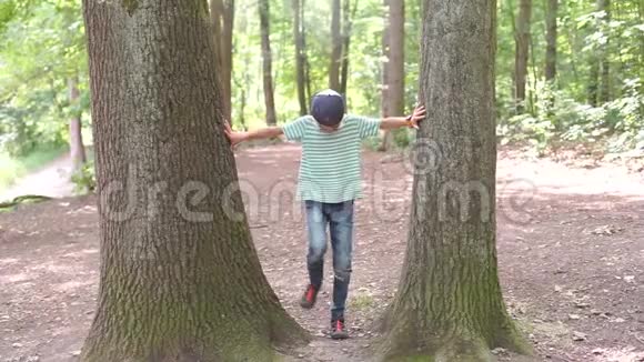 男孩爬上树跳到地上视频的预览图