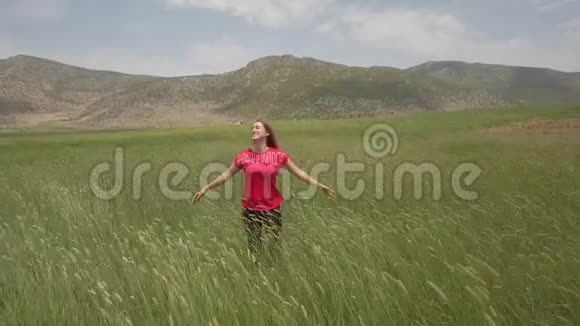 一个小女孩在绿茵场上欢快地跳舞用手摸着麦穗视频的预览图