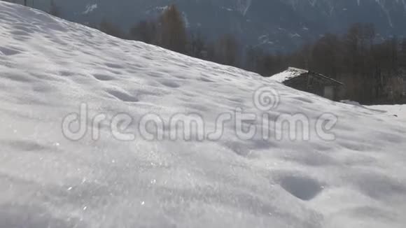 小动物在雪地里奔跑的低角度射击视频的预览图