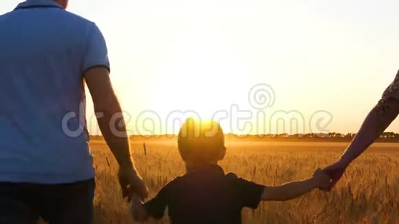一个幸福的家庭在日落时穿过麦田父亲和母亲牵着儿子手家庭假日视频的预览图