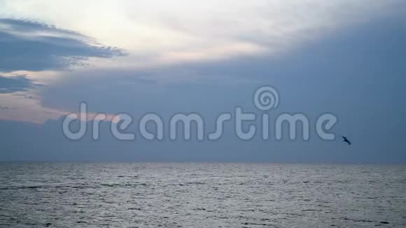 Rovinj的重云观视频的预览图
