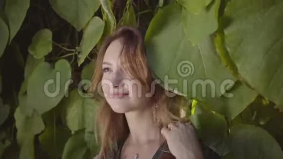 一幅可爱的年轻女人一边看着相机一边站在树上戴着大叶子的肖像夏季概念视频的预览图