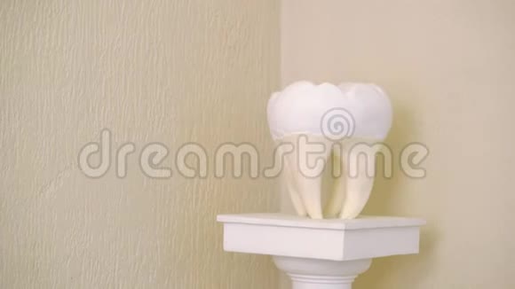 牙齿的雕塑视频的预览图
