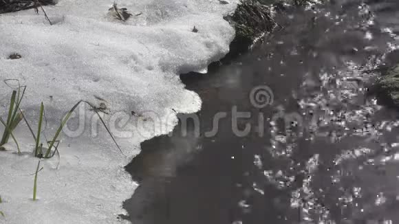 近溪而上江瀑在林中春色带岩雪4KUHD中弹视频的预览图